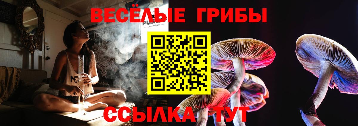 Псилоцибиновые грибы ЛСД Белогорск